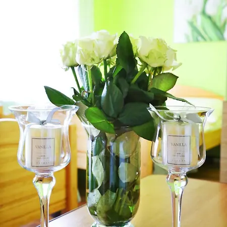 Mona Отель типа 