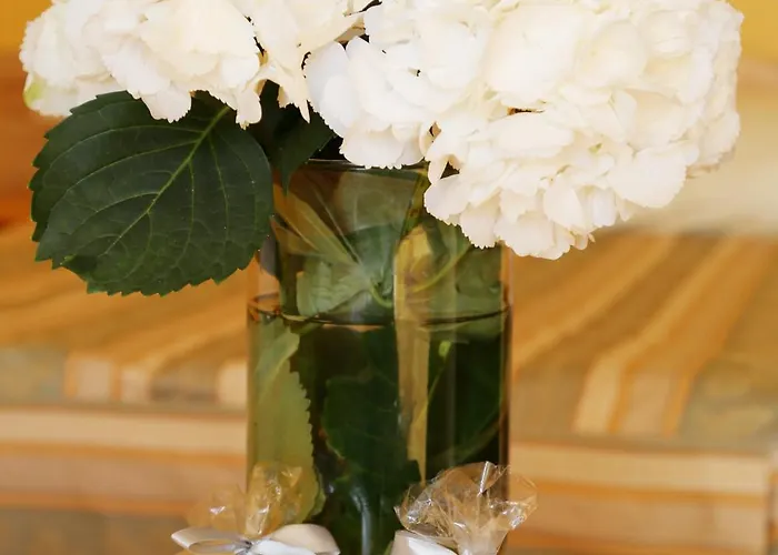 Mona Bed & Breakfast 3*